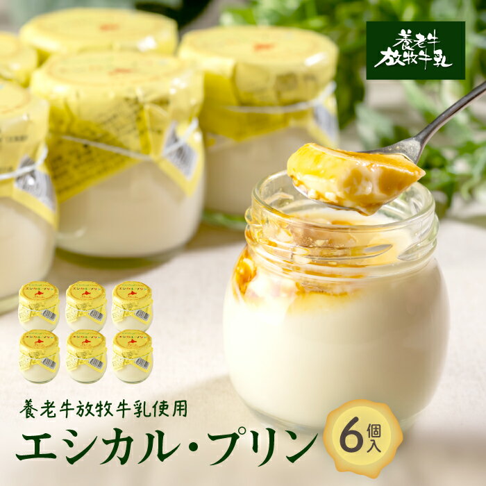 【ふるさと納税】養老牛放牧牛乳使用エシカル・プリン×6個 | プリン 無添加プリン 北海道産プリン グラスフェッド牛乳 有機牛乳 放牧牛乳 低温殺菌 ノンホモ ナチュラルスイーツ てんさい糖 スイーツ 牛乳プリン お取り寄せ 北海道 中標津町 中標津【1301302】