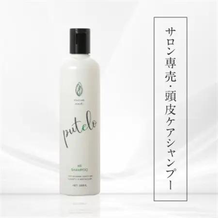 プテロ　ARシャンプー 300ml_美容 シャンプー・リンス  _【1516148】