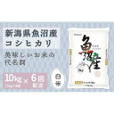 【ふるさと納税】【定期便全6回】新潟県魚沼産コシヒカリ10kg | お米 こめ 白米 食品 人気 おすすめ 送料無料