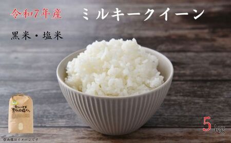 《令和7年産》黒米・塩米（ミルキークイーン）約5kg ／ 米 お米 こめ コメ 精米 白米 令和7年産 ミルキークイーン 5kg 産地直送