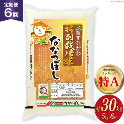 ふるさと納税 砂川市 6回 定期便 JA新すながわ産 特栽米ななつぼし 5kg×6回 総計30kg [12260796]