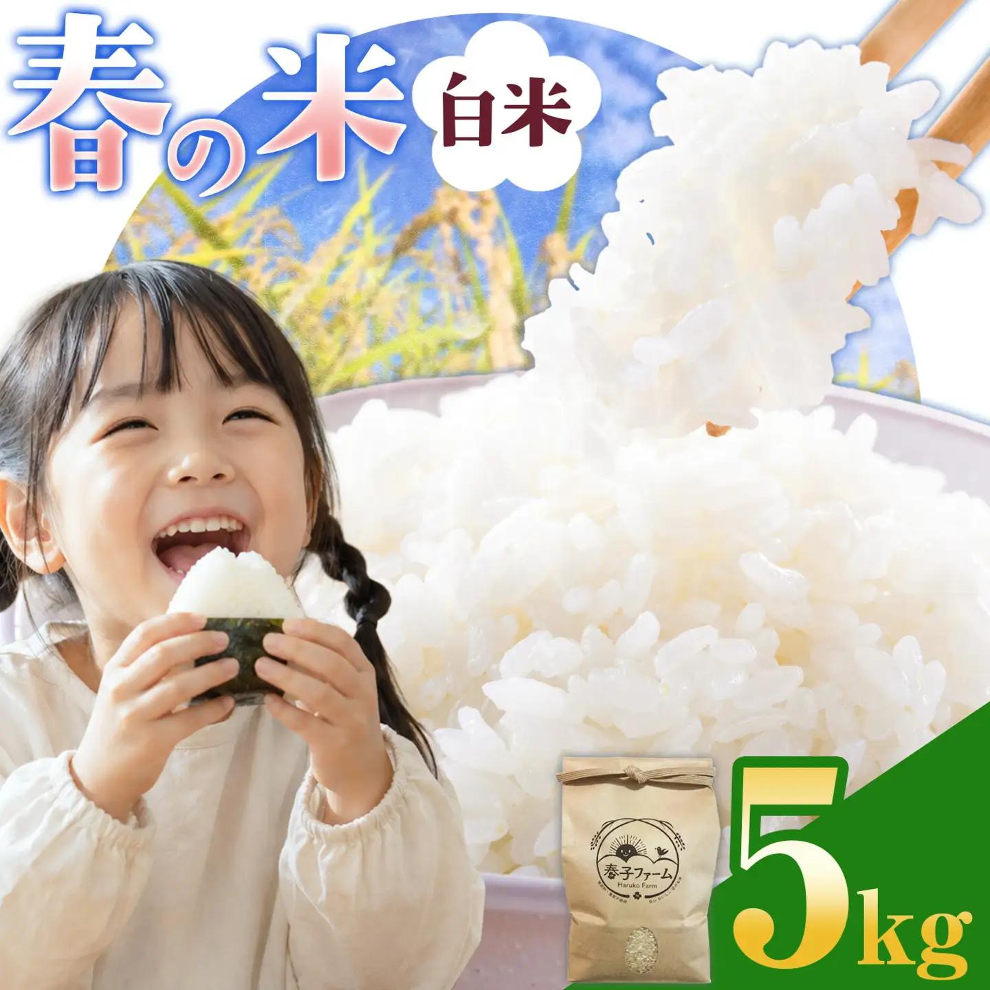 米 令和7年産 春の米 白米 5kg 春子ファーム 米