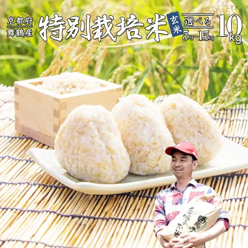令和8年度産 新米 予約受付 棚田米 10kg 玄米 コシヒカリ 特別栽培米 7割削減