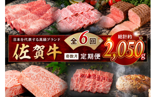 【発送月固定 定期便】肉の定期便! 厳選 佐賀牛 隔月お届け（奇数月）全6回 J1169