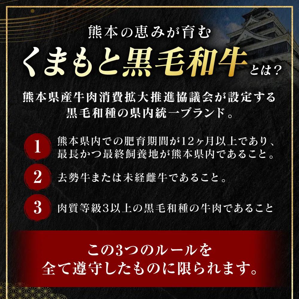 ステーキ くまもと黒毛和牛 サーロイン ステーキ 250g （250g×1枚） A4～A5ランク ステーキ