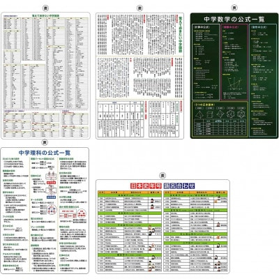 
受験教材下敷き　5枚セット【下敷き 文房具 教材 ツール 高校受験 暗記 記憶 視覚 勉強 学習 受験 テスト 試験 隙間時間 中学生 理科 国語 数学 歴史 英語 5教科 セット フライング・エッグ 人気 おすすめ】
