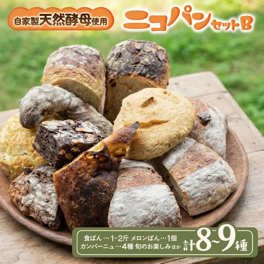 カラダヨロコブ天然酵母のニコパンセットB | パンパンパンパン