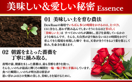 DewRose ＆SUGAR 20g/ 薔薇 香り 砂糖 パン スイーツ 調味料 健康 天然素材 天然成分【agr103】