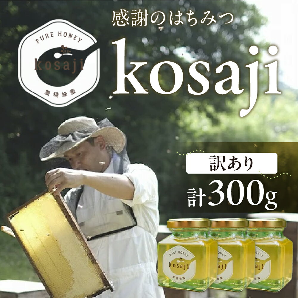 【ふるさと納税】豊橋蜂蜜【kosaji】春はちみつ 300g 訳あり(100g×3) 高級 希少 貴重 わけあり ワケアリ おすすめ 蜂蜜 はちみつ 国産 常温 はちみつ ハチミツ 蜂蜜 ハニー 送料無料 愛知県 豊橋市