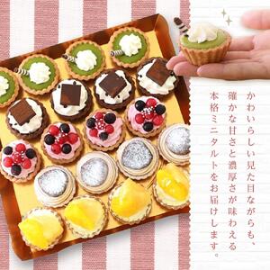 定期便 5ヶ月 フレッシュ タルト 専門店 STYLE 岡山みに たると 厳選 5種 20個入 お菓子 ケーキ タルト スイーツ 合せ