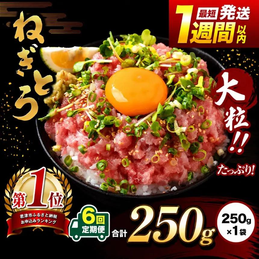 【定期便 6ヶ月】【 簡易包装 】ネギトロ 鮪 250g×１袋 | まぐろのたたき ねぎとろ 清幸丸水産 君津市