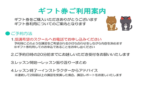 プライベートレッスン　ギフトチケット　１時限分×３枚 体験 チケット 長野市