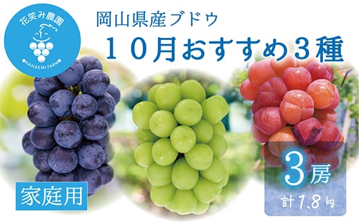 
                  ＜2026年先行受付＞岡山　花笑み農園の『10月おすすめ3種』家庭用　1.8kg(3房)3M-2L家【1695419】
                