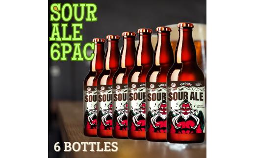 クラフトビール SOUR ALE 6本セット | ビール お酒 クラフトビール 地ビール テングビール 瓶ビール オリジナルビール 微アルコール 女性好み フルーティー すっきり 酸味 プレゼント ギフト 詰め合わせ 家飲み 宅飲み 晩酌 前橋市 群馬県