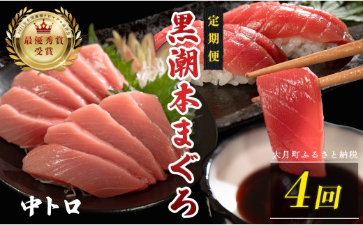 訳あり 不定貫 定期便 4回 国産 養殖本マグロ 中トロ 毎回120g×4回 黒潮本まぐろ 全国養殖クロマグロ品評会 最優秀賞受賞 4ヶ月 4か月 柵 刺身用 本マグロ クロマグロ 本鮪 まぐろ 鮪 お刺身 さしみ トロ 海鮮丼 漬け丼 手巻き寿司 鉄火丼 まぐろ丼 小分け 個包装 真空パック 冷凍 不揃い 家庭用 海鮮 年末年始 高知県 大月町 3万円