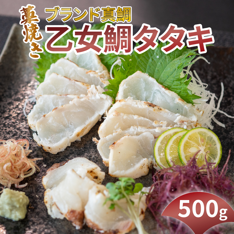 藁焼き乙女鯛タタキ 500g 