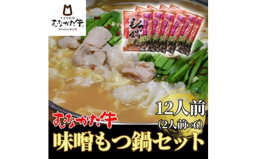 むなかた牛味噌もつ鍋セット2人前×6【すすき牧場】_HA1459