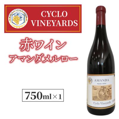 ふるさと納税 東御市 496ヴィンヤード 赤ワイン1本(アマンダメルロー)