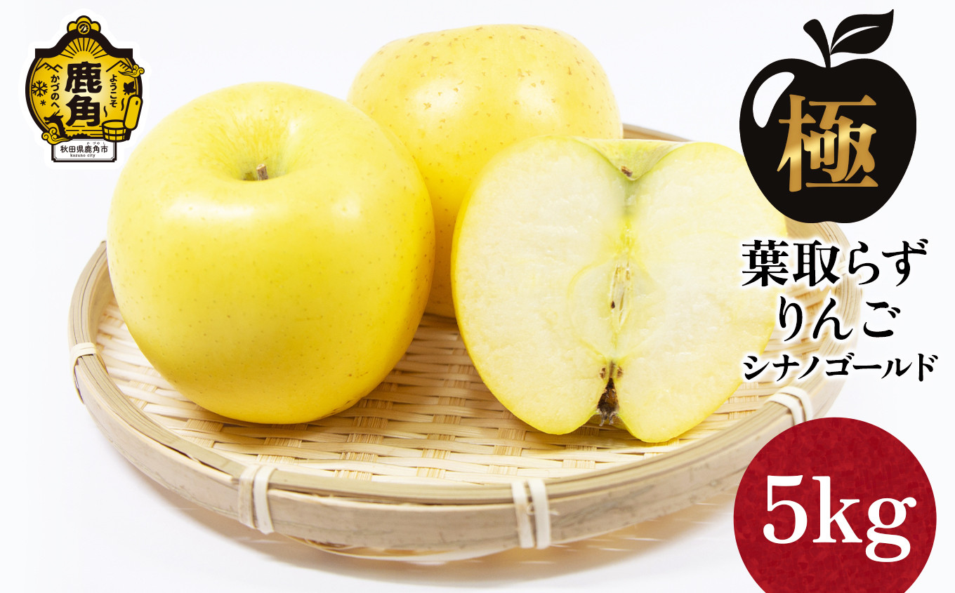 
                  《先行予約》《極》葉取らずりんご！ シナノゴールド 5kg（13～20玉）【録政園】●2026年11月中旬発送開始 葉とらず みずみずしい 果汁 リンゴ 林檎 完熟 旬 県産りんご お中元 お歳暮 贈り物 お見舞い グルメ ギフト 故郷 秋田県鹿角市産 送料無料
                