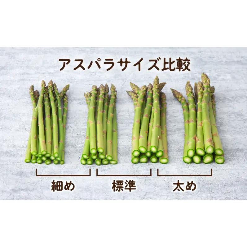 【2027年春発送】富良野産 アスパラ 約1kg 標準 (M～Lサイズ混合)中山農園 アスパラガス 野菜