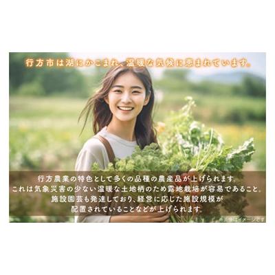 ふるさと納税 行方市 【2週間毎定期便】【6ヶ月定期便】野菜王国なめがたの野菜もりもり定期便月2回発送CU-141全12回 |  | 01