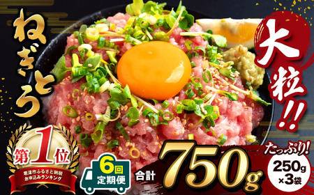 【 定期便6回 】 大人気！ねぎとろ 750g （ 250g × 3袋 ） 清幸丸水産 | ネギトロ とろ 鮪 まぐろ マグロ 海鮮 魚介 魚 人気 小分け 人気 定番 ご飯 オススメ 千葉県 君津市 