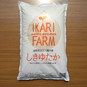 令和7年産 白米 5kg しきゆたか すっごいもちもち 【C002W1】 近江米