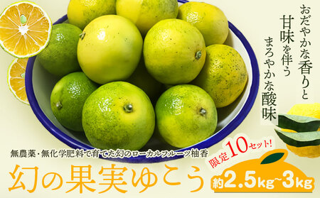 ＜ 先行予約 ＞ 幻の果実ゆこう 約2.5kg～3kg テロワール《2024年10月下旬から出荷(土日祝除く)》 徳島県 上勝町 柚香 柑橘 柚子 ユズ 無農薬 無化学肥料 果物