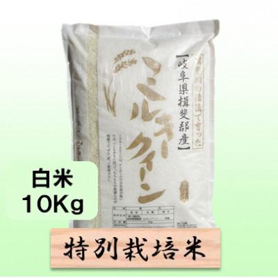 ふるさと納税 池田町 【令和8年産】特別栽培米 10kg【白米】(ミルキークイーン)