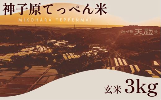 新米 こしひかり 玄米 3kg 神子原 てっぺん米 数量限定 令和7年産 こだわり もっちり 甘み 食味ランクS 最高評価 genmai gennmai げんまい ※ ご飯 ごはん R7 2025年産 おいしい 美味しい 神子原てっぺん米 神子原頂上米 石川県 石川 能登 羽咋 支援 応援 復興応援 復興支援 お米 米 おこめ こめ kome okome ふるさと納税米 ふるさと納税玄米
