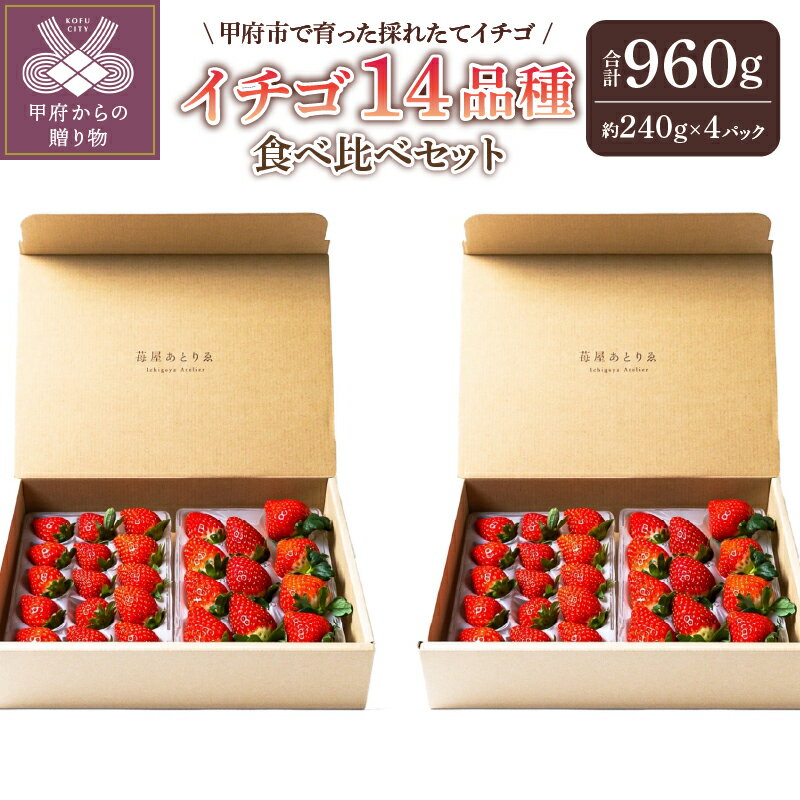 【ふるさと納税】 いちご 先行予約 食べ比べ セット ギフト 贈答 プレゼント 採れたて フルーツ 14品種 約240g×4パック 冷蔵 フルーツ王国山梨 甲府市産 k222-004