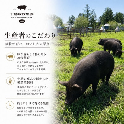 十勝放牧黒豚 極上バルセット	 7種入り(ソーセージ、ハンバーグ、ベーコン、ハム、ラクレットチーズ)【配送不可地域：離島】