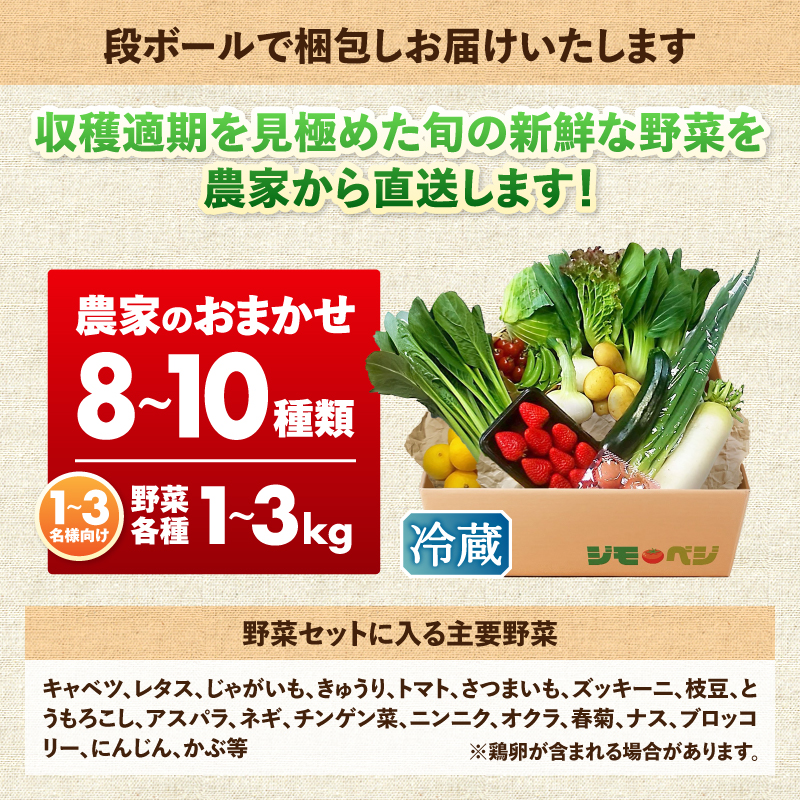 a10-1232　ジモベジ野菜セット