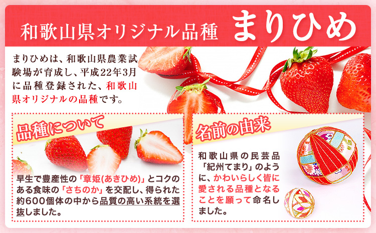 【先行予約】いちご 和歌山県産 紀州和歌山 ブランド いちご まりひめ 2パック 560g 株式会社魚鶴商店 《1月上旬-2月下旬頃出荷》 和歌山県 日高町 フルーツ 果物 スイーツ 甘い