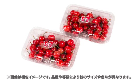 先行予約 さくらんぼ やまがた紅王 360g(180g×2パック) 2Lサイズ 秀品 山形県産 令和9年産 2027年産 sb-ybs2x360