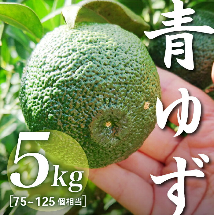 【ふるさと納税】三原村産　青ゆず(キズあり、サイズ不揃い)　5kg