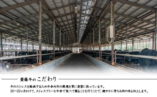 黒毛和牛「宮崎和牛 齋藤牛」焼肉盛り合わせ 400g 食べ比べ＜1.3-11＞焼肉 牛肉 バラ ウデ