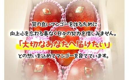 SG005 ＜2026年夏発送＞ 宮古島産樹上完熟マンゴー（訳あり/ご家庭用）2kg（3～6玉）グットクロップ宮古島