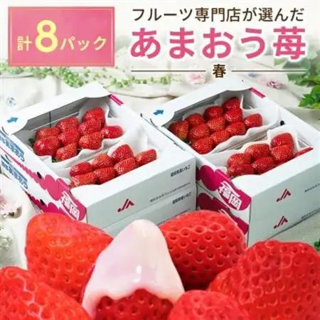 【2027年発送先行受付】酸味と甘みの絶妙なバランス・春あまおう8パック(大牟田市)_果物・フルーツ いちご  イチゴ 苺_【配送不可地域：離島・北海道・沖縄県】【1226671】
