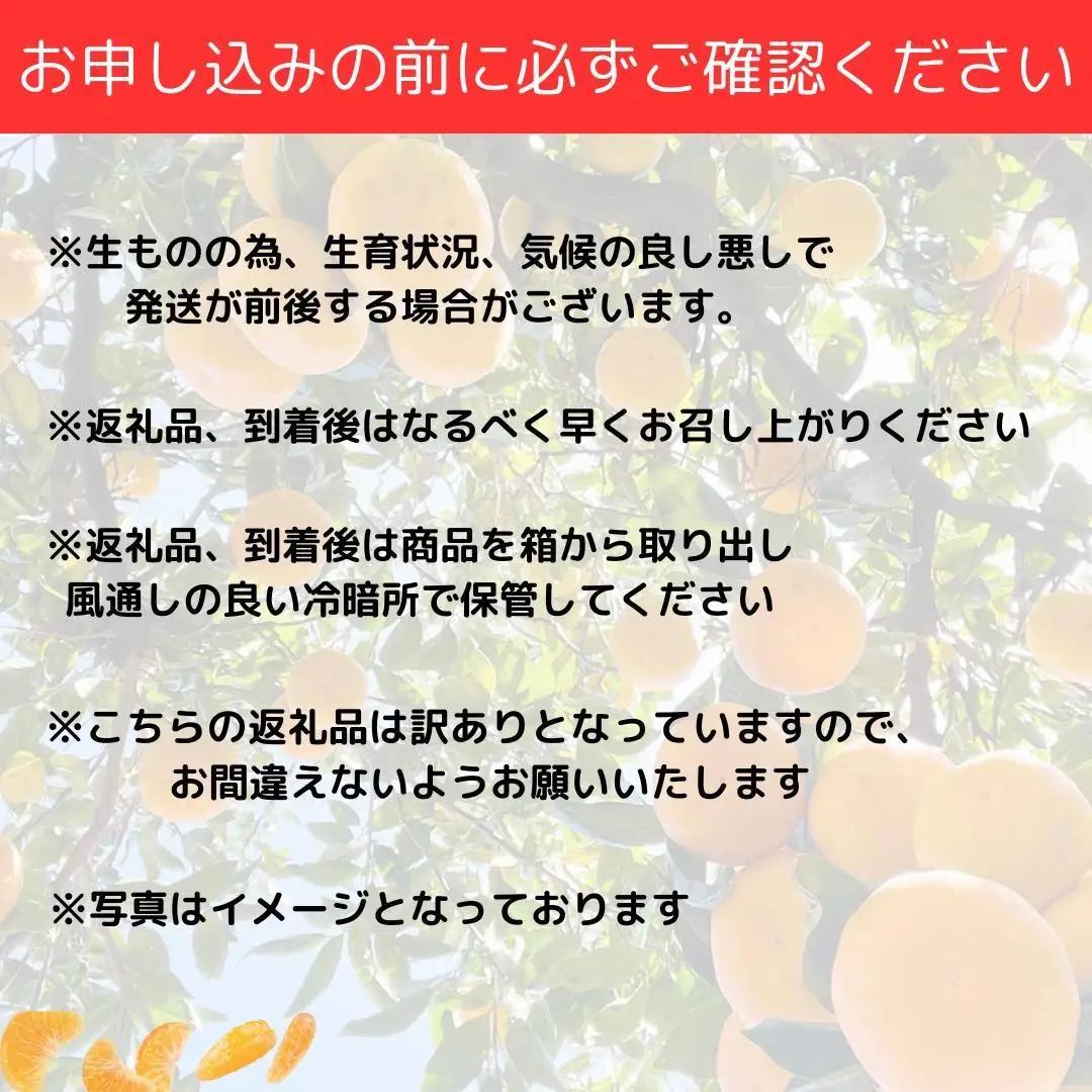 【訳あり】和歌山みかん約11kg+補償分約1kg サイズ混合 11月より順次発送 訳ありみかん 【red2】