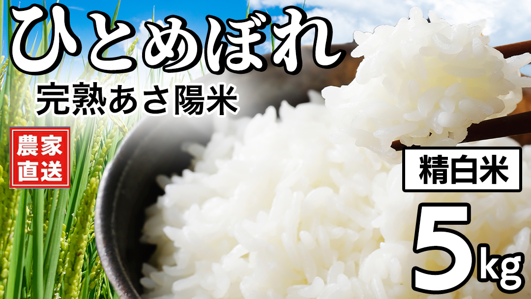 【 新米 】  完熟あさ陽米 (精白米) 5kg ひとめぼれ 特別栽培米 令和8年産 新米 生産農家直送  産地直送 こめ 精米 白米 ご飯 あさ陽米 岩手県 特別栽培 農家直送 事業者応援 生産者支