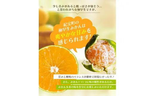 みかん 訳あり 極早生温州みかん 約10kg＋傷み保証分400g 2S～3Lサイズおまかせ【njb692A】