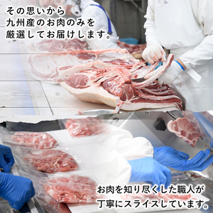 豚肉ウデモモ切り落とし(計2kg・1パック250g) 小分け 国産 豚肉 豚小間 真空パック 家庭用 豚こま 定期便 スライス 焼肉 BBQ 冷凍配送 個包装 切り落し 切落し すき焼き しゃぶしゃぶ
