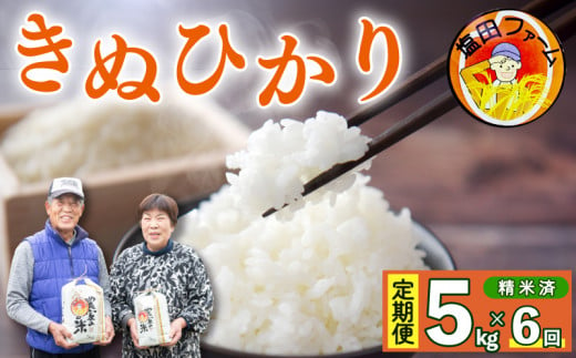 定期便 6回 きぬひかり 5kg 令和6年産 米 こめ ご飯 ごはん おにぎり 白米 精米 卵かけご飯 食品 備蓄 備蓄米 保存 防災 ギフト 贈答 プレゼント お取り寄せ グルメ 送料無料 徳島県 阿波市 塩田ファーム