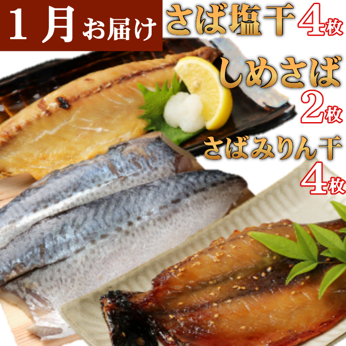 室戸流藁焼きタタキと地魚干物定期便A（年６回・奇数月お届け）_イメージ3