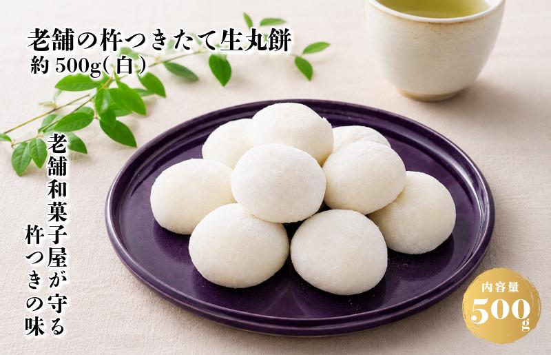 【無添加】老舗職人の杵つき生丸餅（白）約500g 【小分け 50g×10個 解凍するだけで“つきたて”の粘りと香り 大阪 泉佐野 大阪府 泉佐野市】