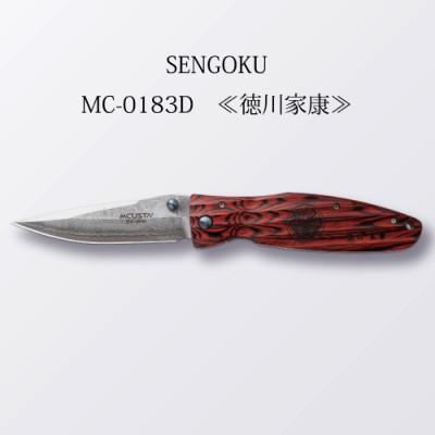 ふるさと納税 関市 MCUSTA SENGOKU "徳川家康"