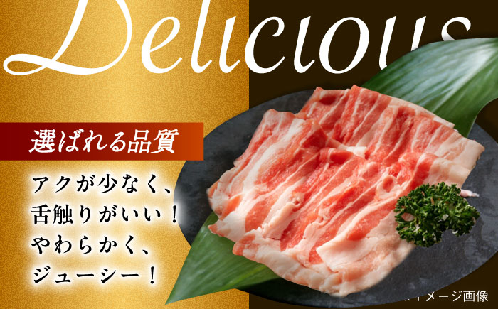 肉 豚 ぶた ブタ 豚バラ しゃぶしゃぶ 小分け 西海市 長崎 九州 定期便