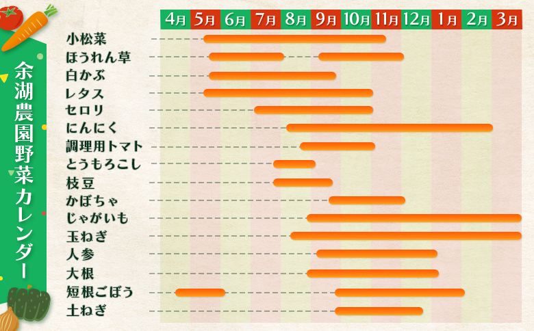 北海道産季節の野菜詰め合わせ 6種類8品【31000501】