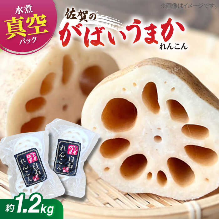 【ふるさと納税】 【お手軽調理！】 水煮れんこん 120g×10袋（カット有り/真空パック）【有限会社白石開発】 蓮根 レンコン 野菜 根菜 小分け 真空 保存 佐賀県 白石町 [IBN004]